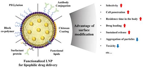 Recent Progress of Lipid Nanoparticles-Based Lipophilic Drug Delivery ...