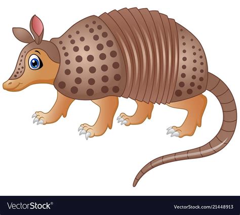 Funny armadillo cartoon Royalty Free Vector Image Cute Cartoon Animals ...