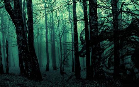 Dark Forest Backgrounds - Wallpaper Cave