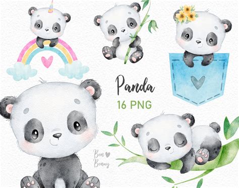 Cute Panda Watercolor Little Animals Clipart Baby Animals - Etsy