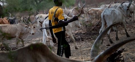 Fresh Fulani herdsmen attacks in Benue, 10 more people dead - Latest ...