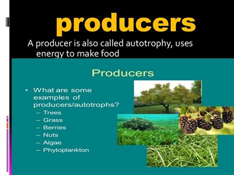 producers