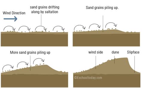 Sand Dune – Eschooltoday