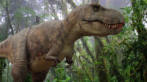 Tyrannosaurus Rex Was the Tyrant Lizard King | HowStuffWorks