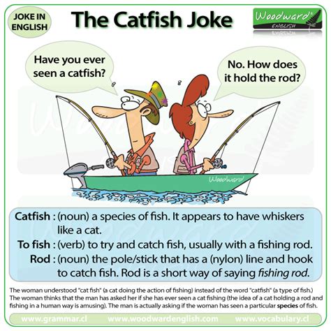 Funny Catfish