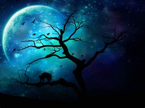 Download The Dark and Mysterious Moon Wallpaper | Wallpapers.com