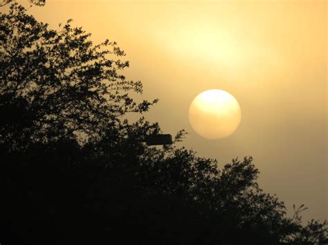 Foggy Sunrise - NatureCoaster.com