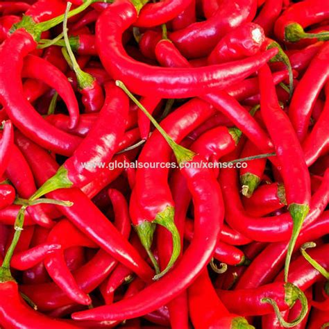 Buy Wholesale Canada Food Grade Food Additive Capsaicin Water Soluble ...