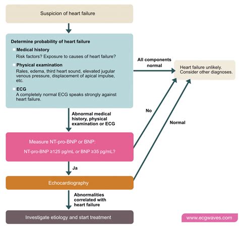 Heart failure: Causes, types, diagnosis, treatments & management ...