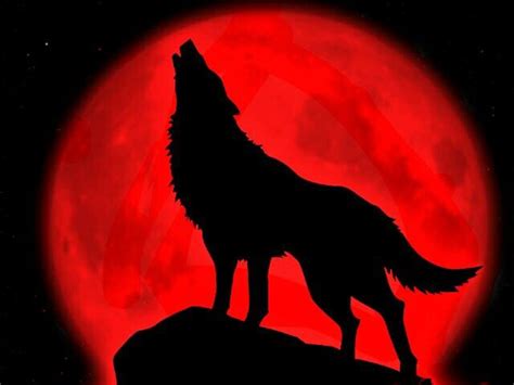 Blood Moon Night Wolf Wallpaper