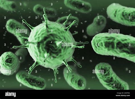 Germs Under Microscope