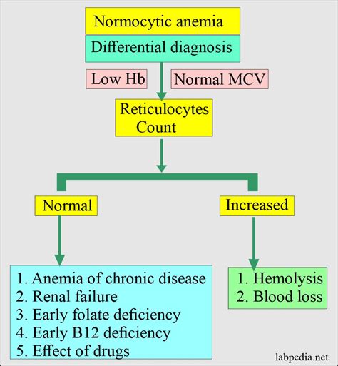 Anemia classification, diagnosis, and routine workup