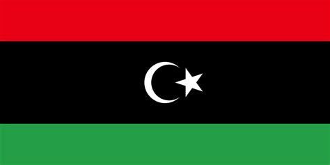 Bir sonraki Libya parlamento seçimleri - Vikipedi