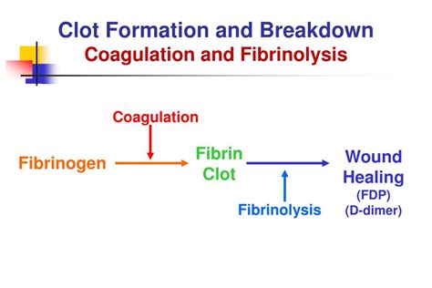 PPT - Fibrinolytic System of Hemostasis PowerPoint Presentation, free ...