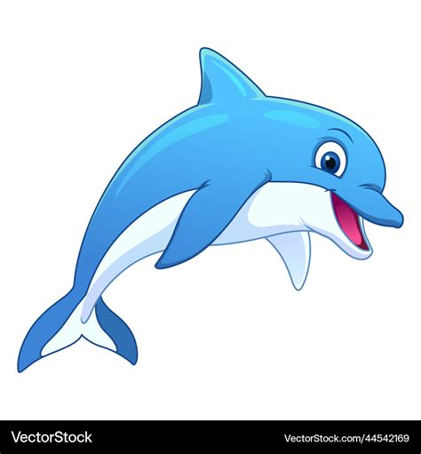 Little dolphin cartoon animal Royalty Free Vector Image