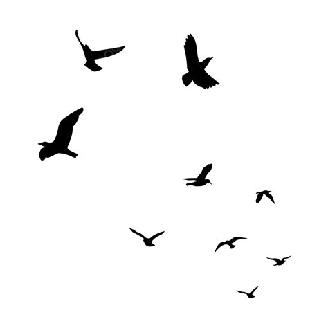 Beautiful Flying Birds, Flying Together, Birds Flying, Birds Silhouette ...