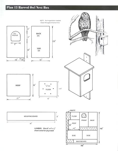 Elegant 44 Owl House Plans