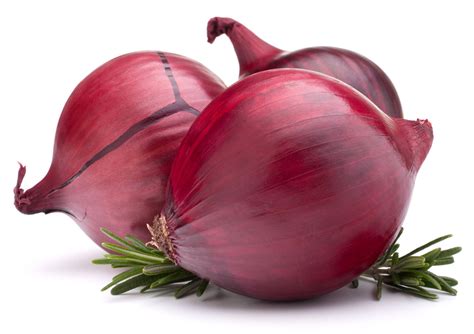 [200+] Onion Wallpapers | Wallpapers.com