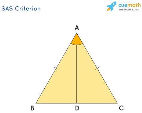 What is SAS Triangle Formula? Examples