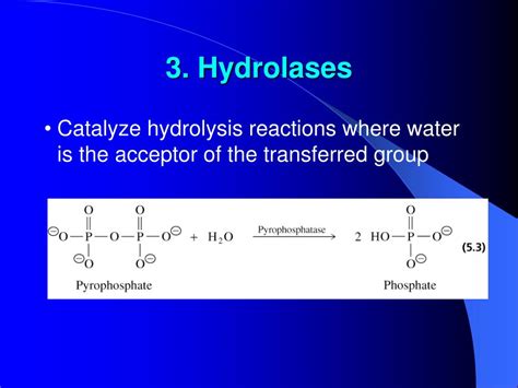 PPT - Properties of Enzymes PowerPoint Presentation, free download - ID ...