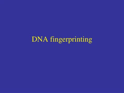 PPT - DNA fingerprinting PowerPoint Presentation, free download - ID ...