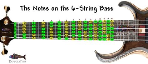 The Notes on the 6-String Bass Guitar! - Bradley Fish