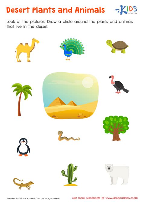 Desert Plants Animals Free Worksheet PDF for Kids - Answers and ...