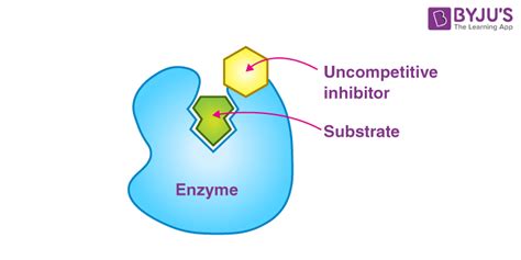 Noncompetitive Enzyme Inhibitors