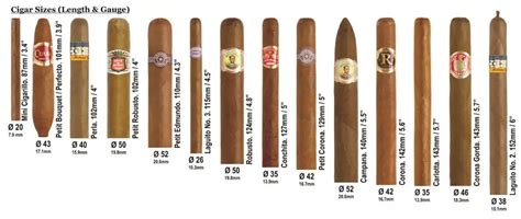 Cigar Sizes And Shapes - My Cigar Site