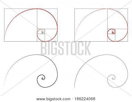 Golden Ratio Spiral Vector & Photo (Free Trial) | Bigstock