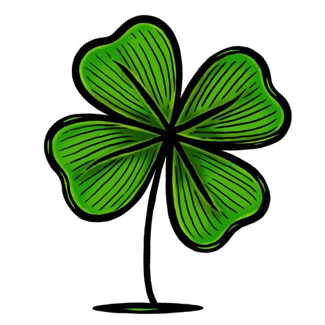 4 Leaf Clover Drawing {4 Easy Steps}! - The Graphics Fairy