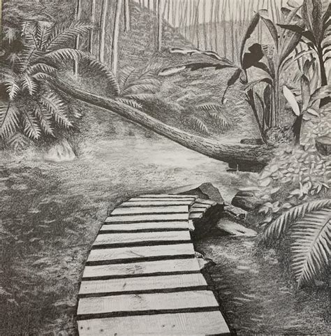 I feel like this is my best drawing so far! Jungle scene with graphite ...