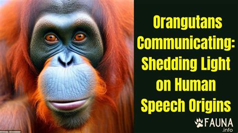 Orangutans Communicating: Shedding Light on Human Speech Origins - Fauna