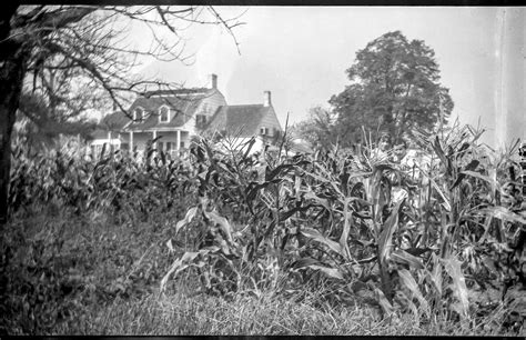 Lott Family Tree — Hendrick Lott House