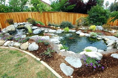 Small Backyard Turtle Pond - Home Design Ideas