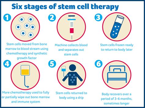 Stem Cell Therapy – Dr Susan Janssens