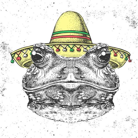 Hipster Animal Frog Wearing a Sombrero Hat. Hand Drawing Muzzle of Frog ...