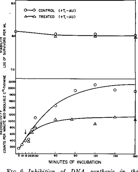 Figure 6 from Mechanism of Action of Nalidixic Acid on Escherichia coli ...