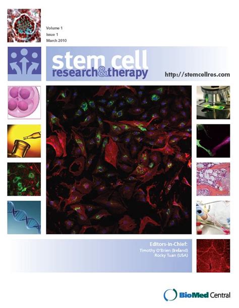 Stem Cell Research & Therapy - advancing the pathway to the clinic - On ...