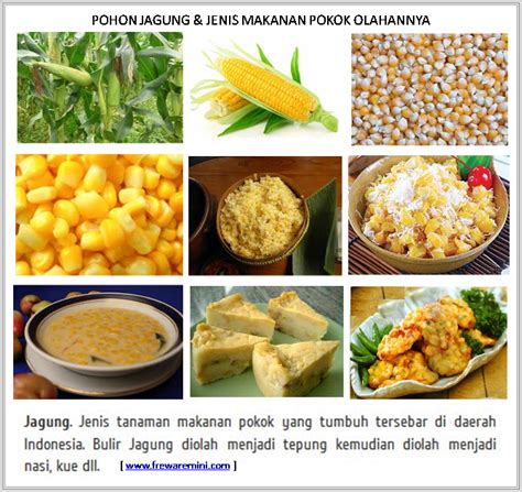 GAMBAR JENIS TUMBUHAN-TANAMAN MAKANAN POKOK | freewaremini