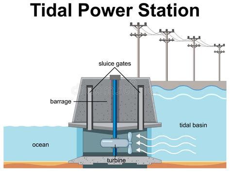 Diagram Showing Tidal Power Station Stock Vector - Illustration of ...