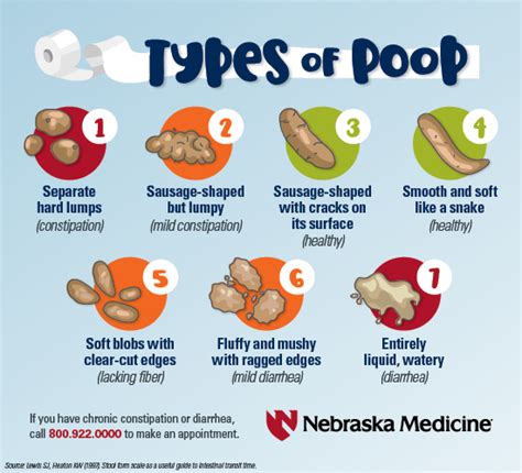 What does healthy poop look like?