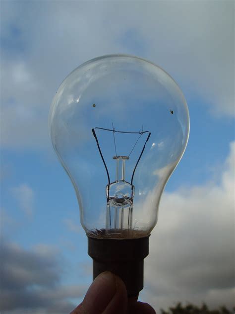 File:Clear light bulb.jpg - Wikimedia Commons