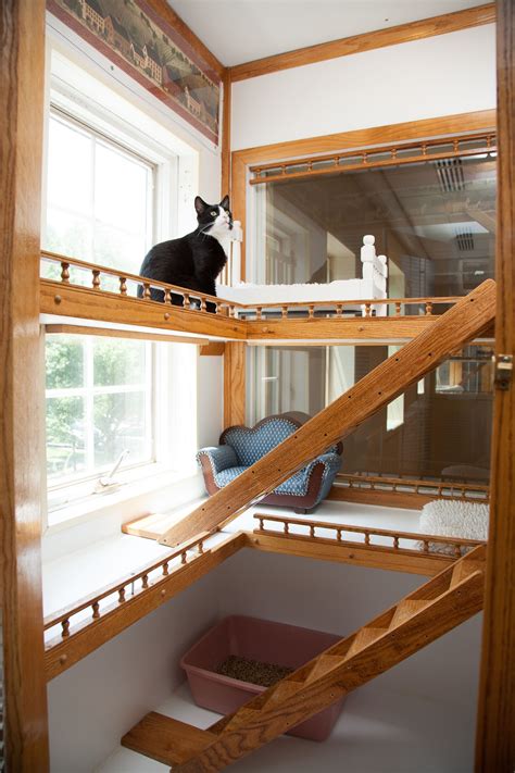 Luxury Cat Boarding at Morris Animal Inn - Morristown, NJ