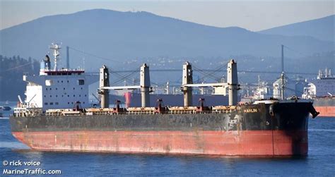 Ship MARLIN V (Bulk Carrier) Registered in Panama - Vessel details ...