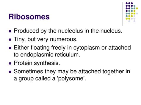 Cell Structure The Microscope. - ppt download