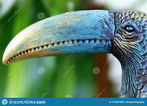 Toucan Bird, Ramphastidae, Close-up of the Beak and Head Stock Photo ...