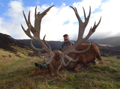 Red Stag Hunting | Alpine Hunting