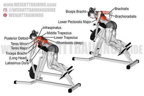 Chest-supported underhand-grip T-bar row exercise instructions