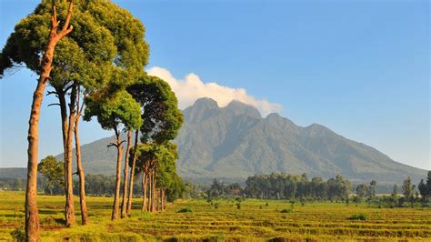 Virunga Mountains view in Rwanda | Windows Spotlight Images